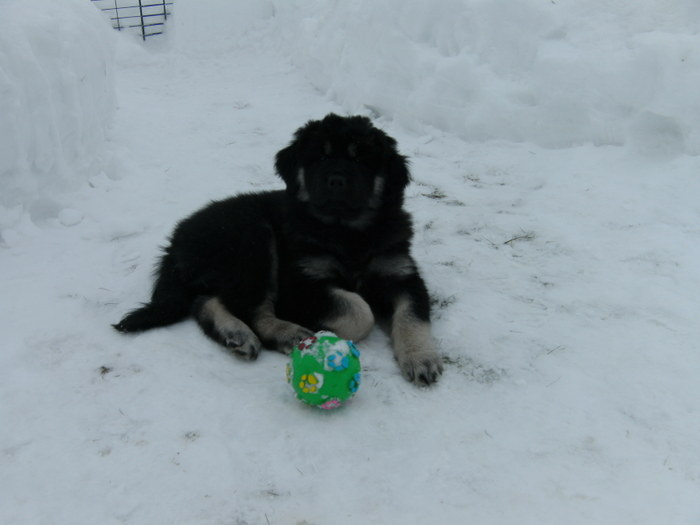 Iza Ute I Snön På Baksidan  3mars-09