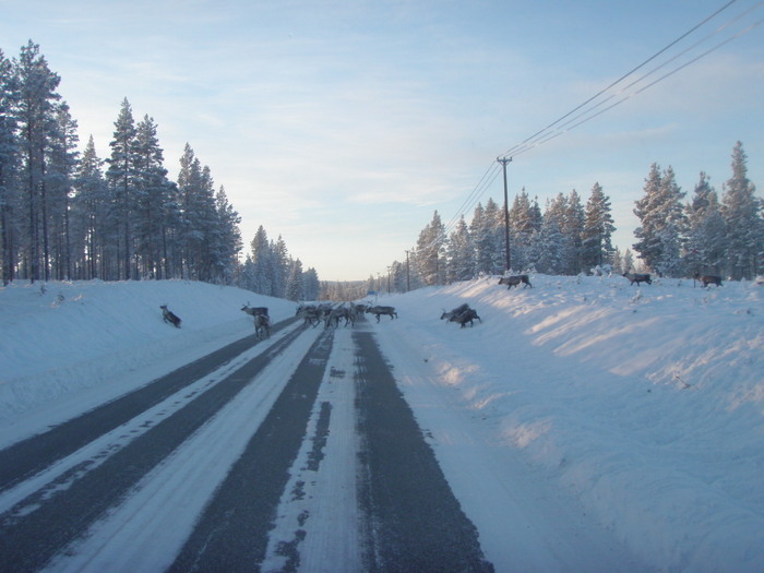 Jul Och NyÅr 2009