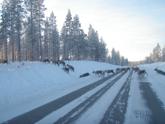 Jul Och NyÅr 2009