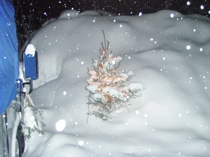 Jul Och NyÅr 2009