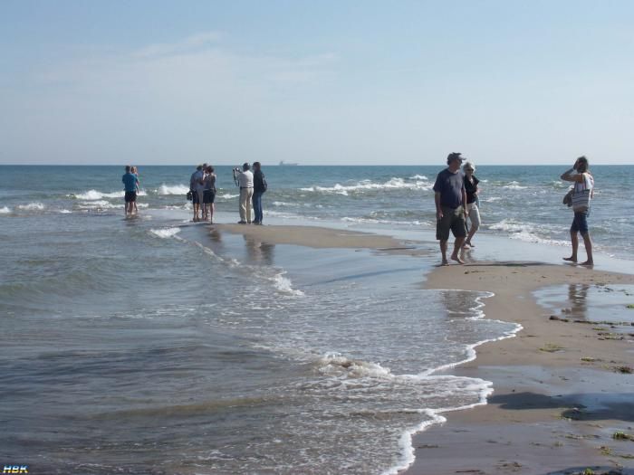 Jylland 2010