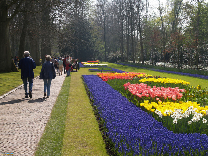 Keukenhof apr -07