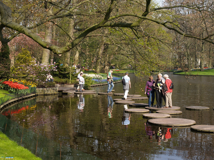 Keukenhof apr -07