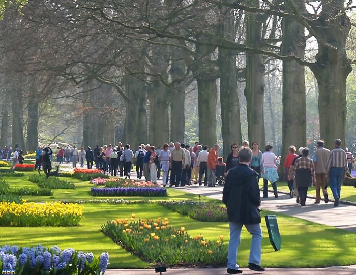 Keukenhof apr -07