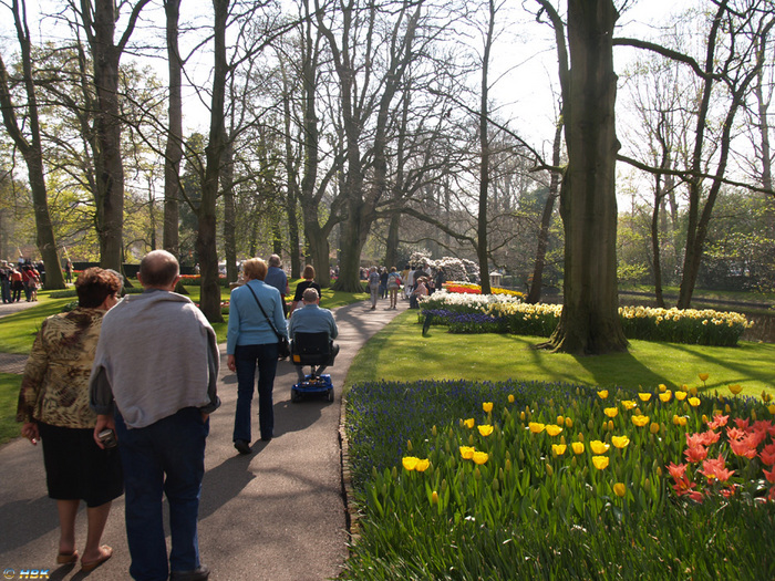 Keukenhof apr 07