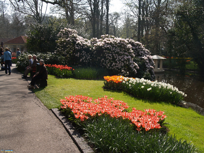 Keukenhof apr 07
