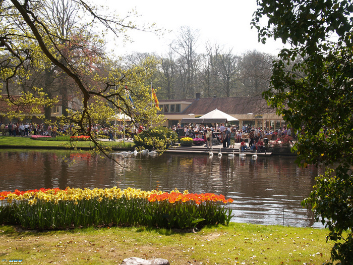 Keukenhof apr 07