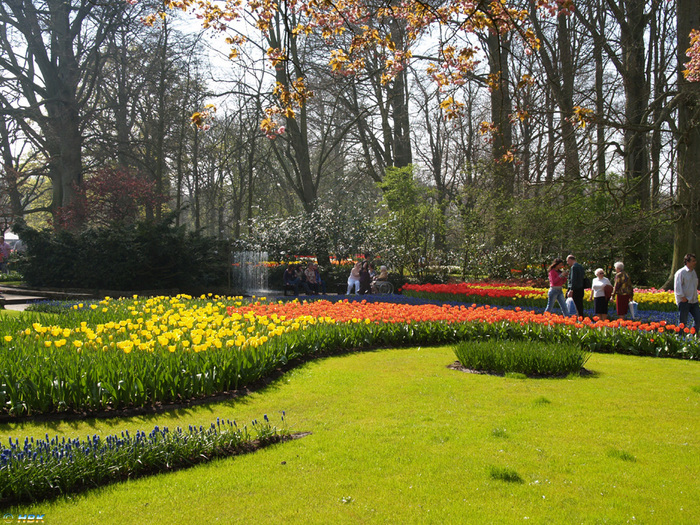 Keukenhof apr 07