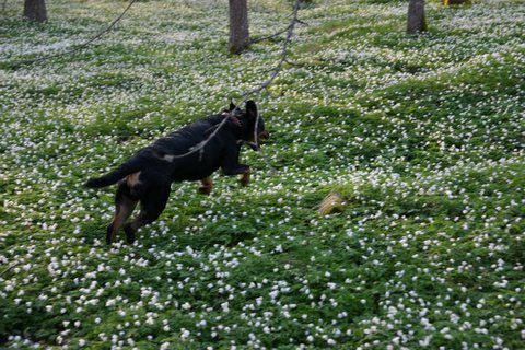 Kita