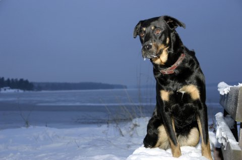 Kita