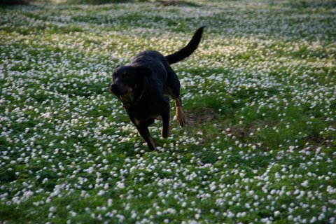 Kita