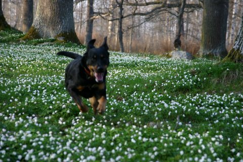 Kita