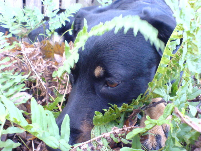 Kita