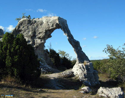 komun48