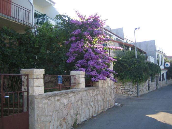 Kroatien 2008
