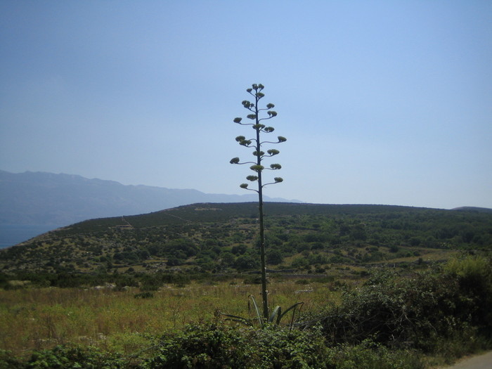 Kroatien 2008