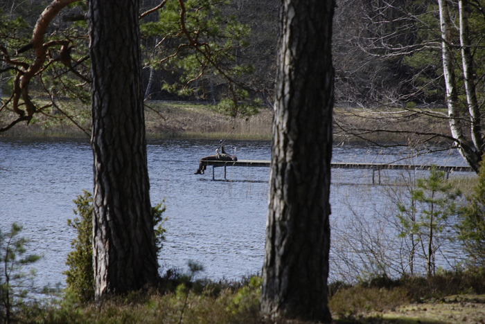 Kroksjön 080426