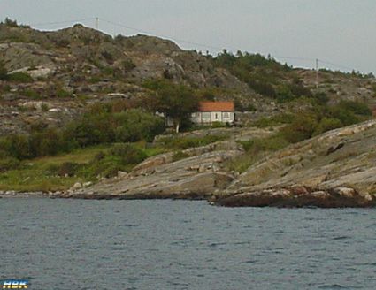 Lövöbilder 2