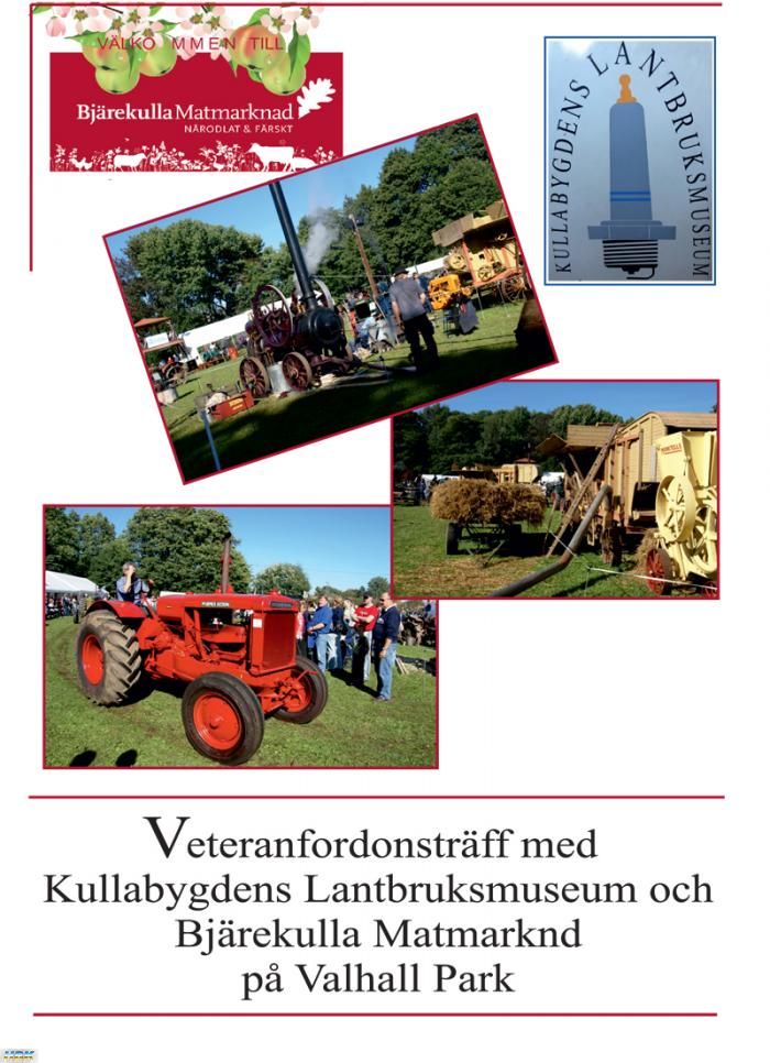 Lergökarallyt 2015