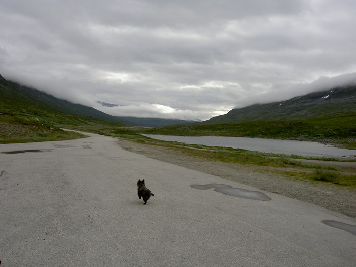 Liten Kajsa På Fjället....