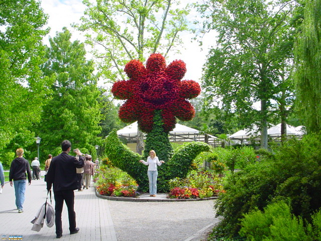 MAINAU 2007