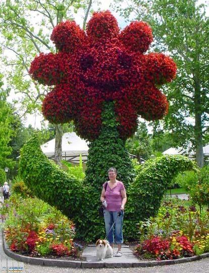 MAINAU 2007