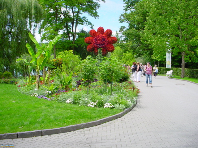 MAINAU 2007