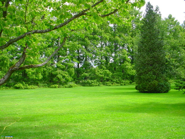 MAINAU 2007