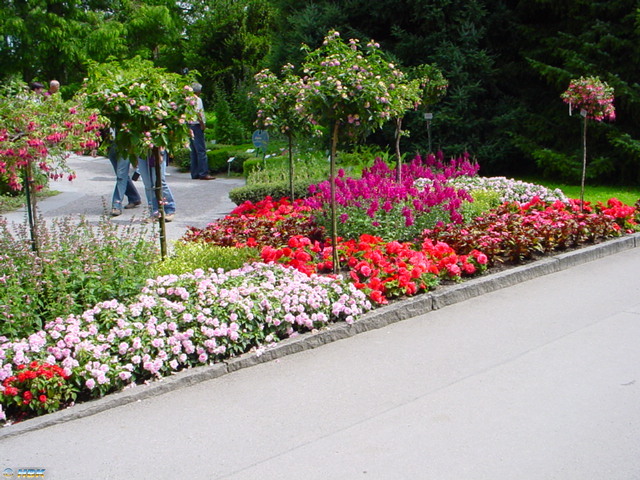 MAINAU 2007