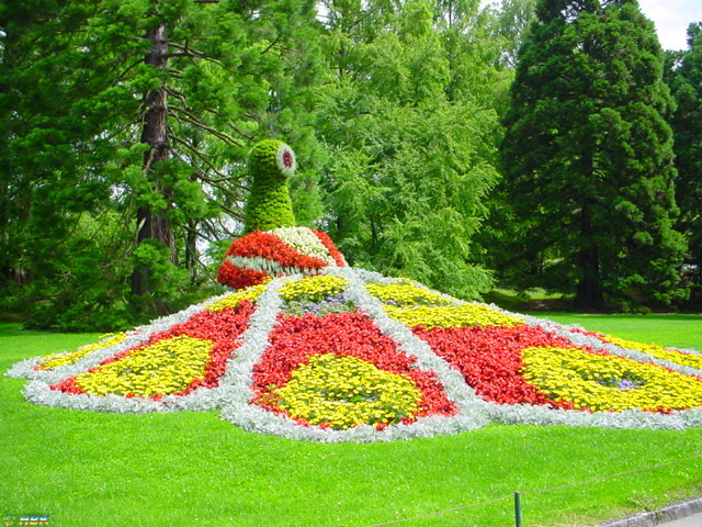MAINAU 2007