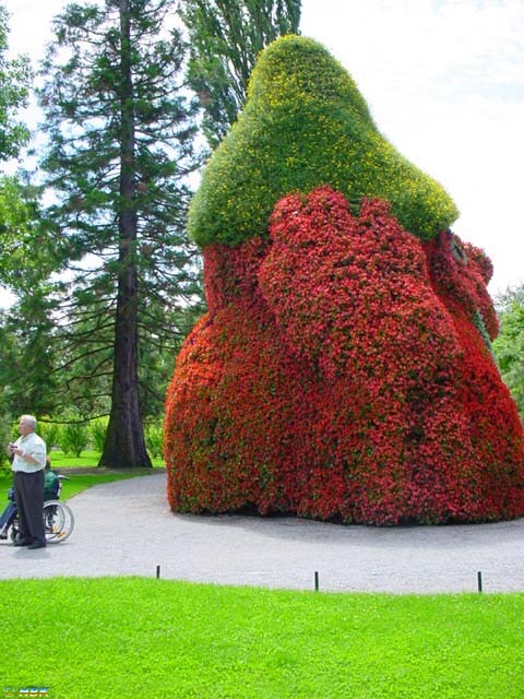 MAINAU 2007