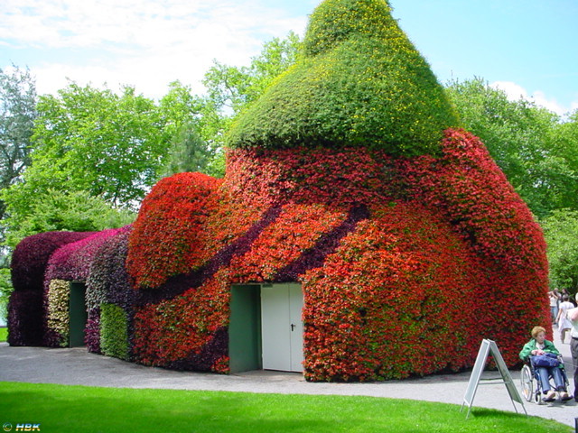 MAINAU 2007