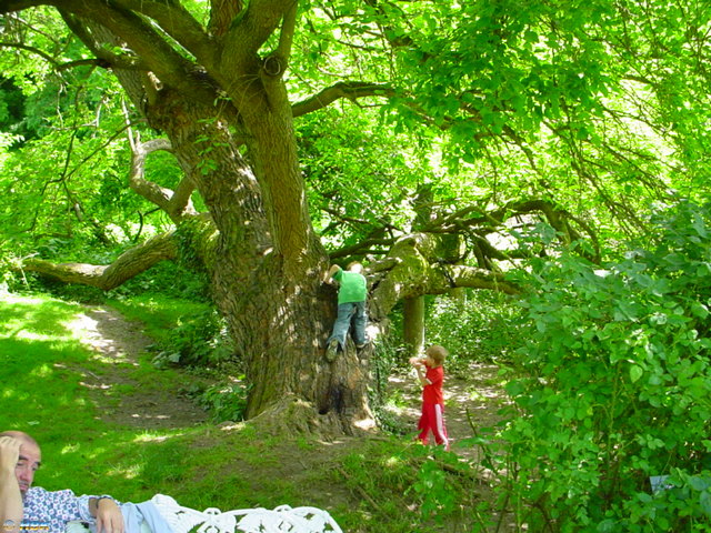 MAINAU 2007
