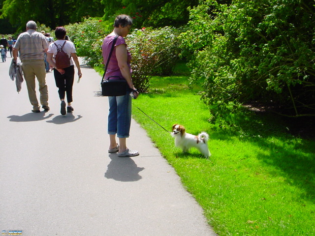 MAINAU 2007