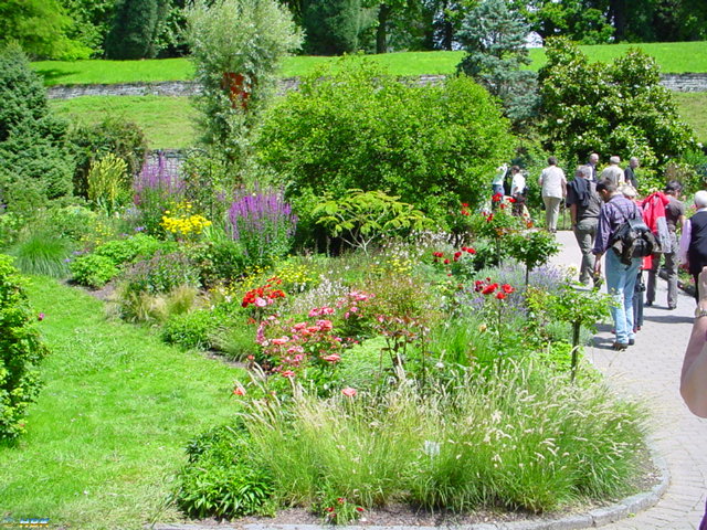 MAINAU 2007