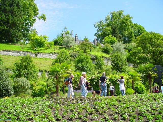 MAINAU 2007