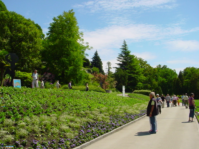 MAINAU 2007