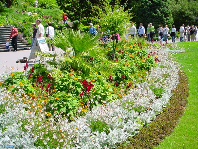 MAINAU 2007