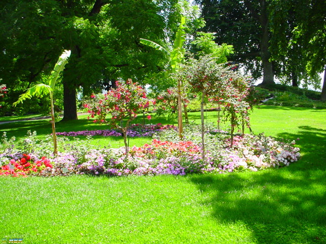 MAINAU 2007