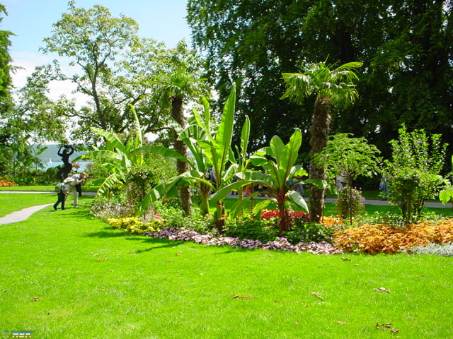 MAINAU 2007