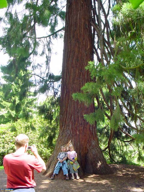 MAINAU 2007