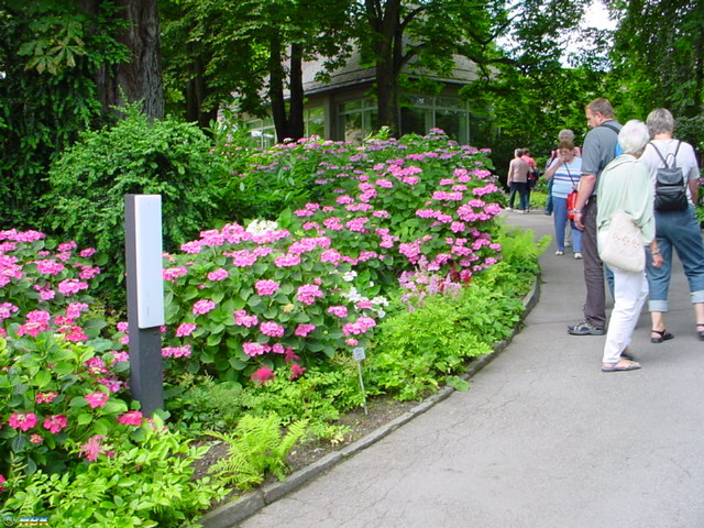 MAINAU 2007