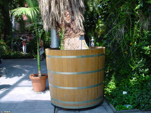 MAINAU 2007