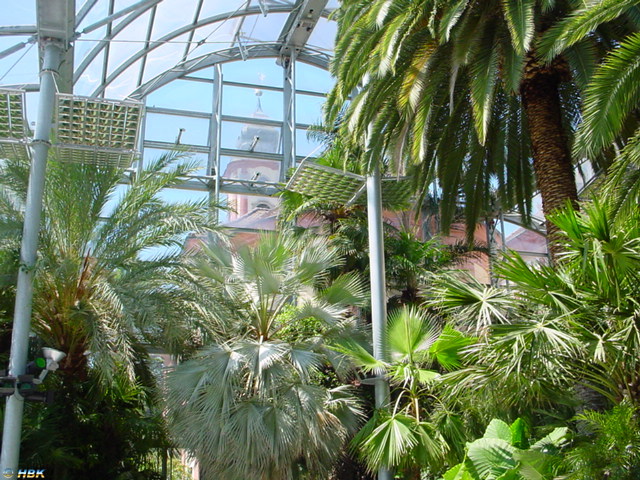 MAINAU 2007