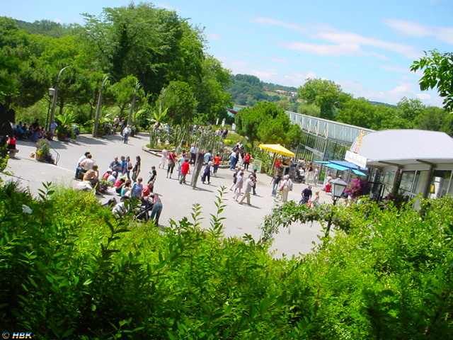 MAINAU 2007