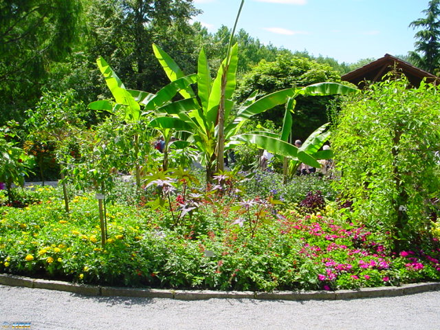 MAINAU 2007
