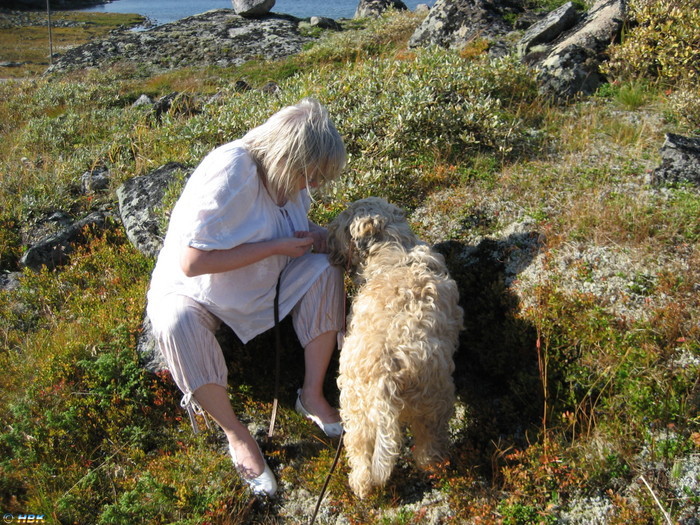 Mamita (hunden) får blåbär