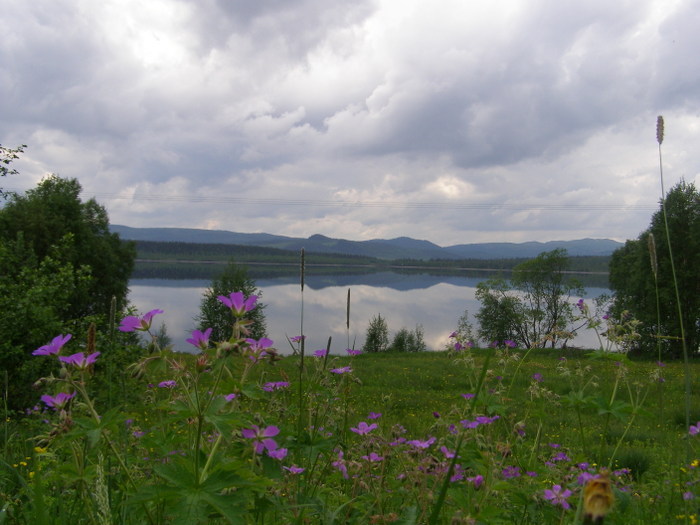 Midsommar Fatmomakke 2006