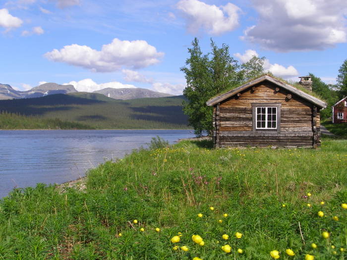 Midsommar Fatmomakke 2006