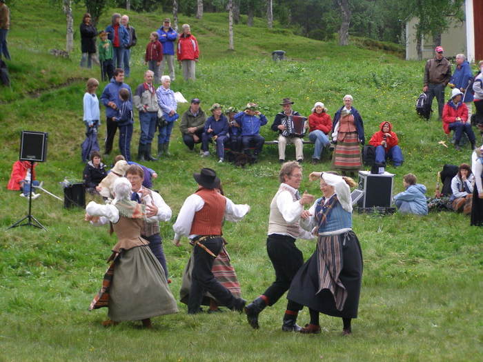 Midsommar Fatmomakke 2006